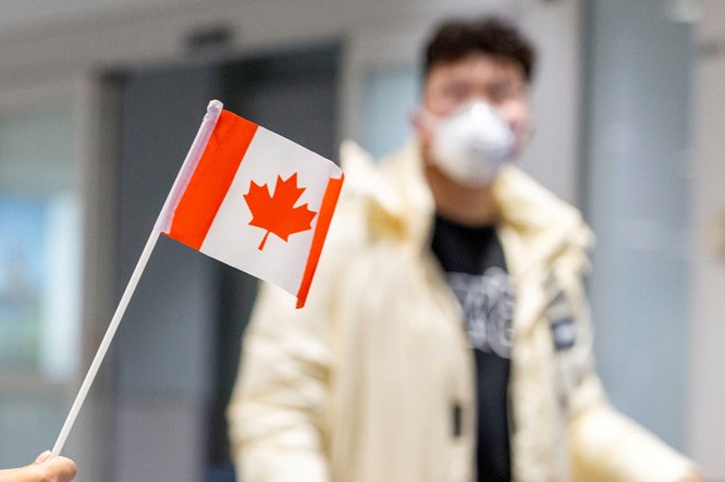 Immigration committee did a research on the impact of coronavirus on Canadian immigrants